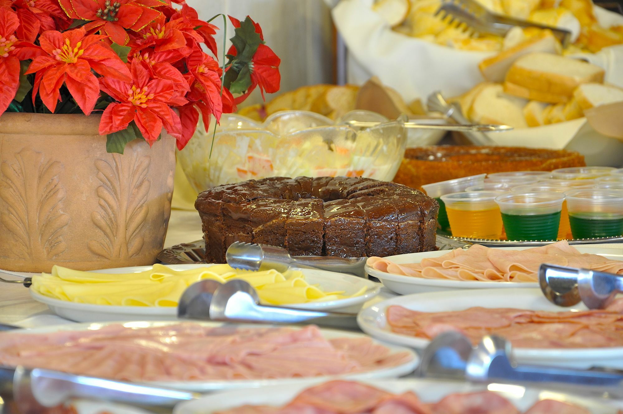 Hotel Vila Regina Campos do Jordão エクステリア 写真